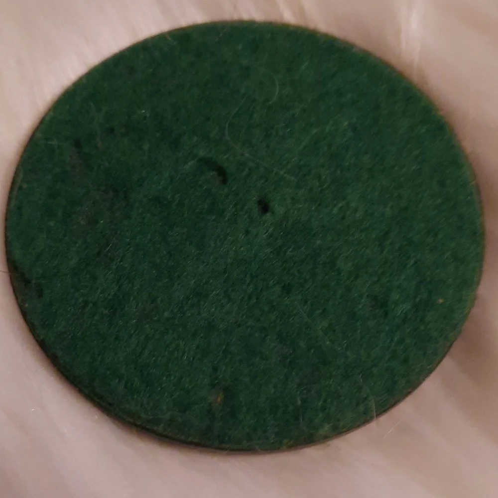 Vintage paperweight bronze. Felted back. Medical society NY - Picture 4 of 5